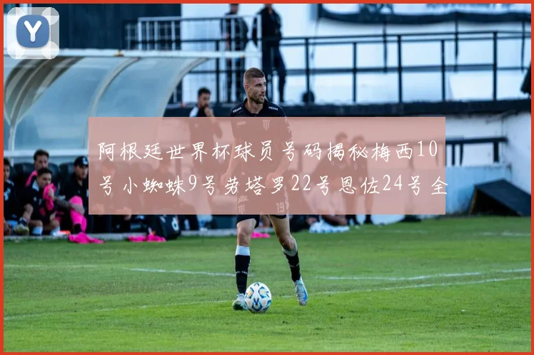 阿根廷世界杯球员号码揭秘梅西10号小蜘蛛9号劳塔罗22号恩佐24号全解析