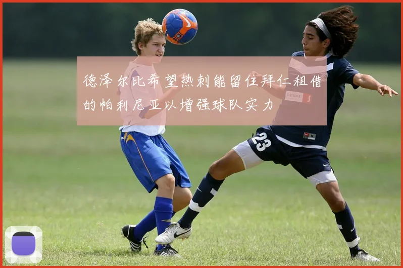 德泽尔比希望热刺能留住拜仁租借的帕利尼亚以增强球队实力